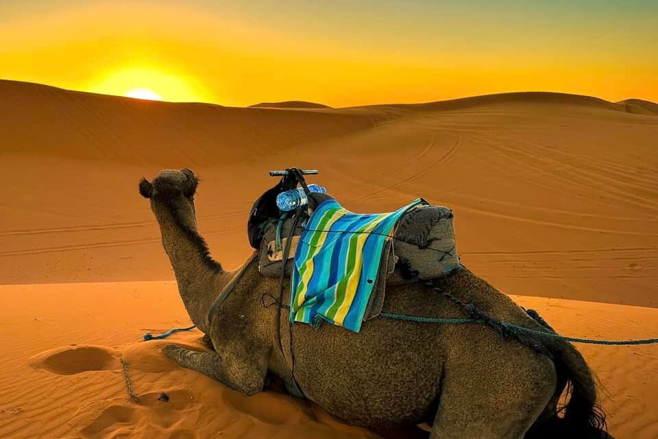 2-Day Zagora Desert Tour from Marrakech