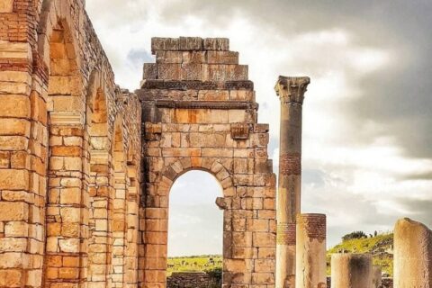 Volubilis & Meknes Day Trip from Fes