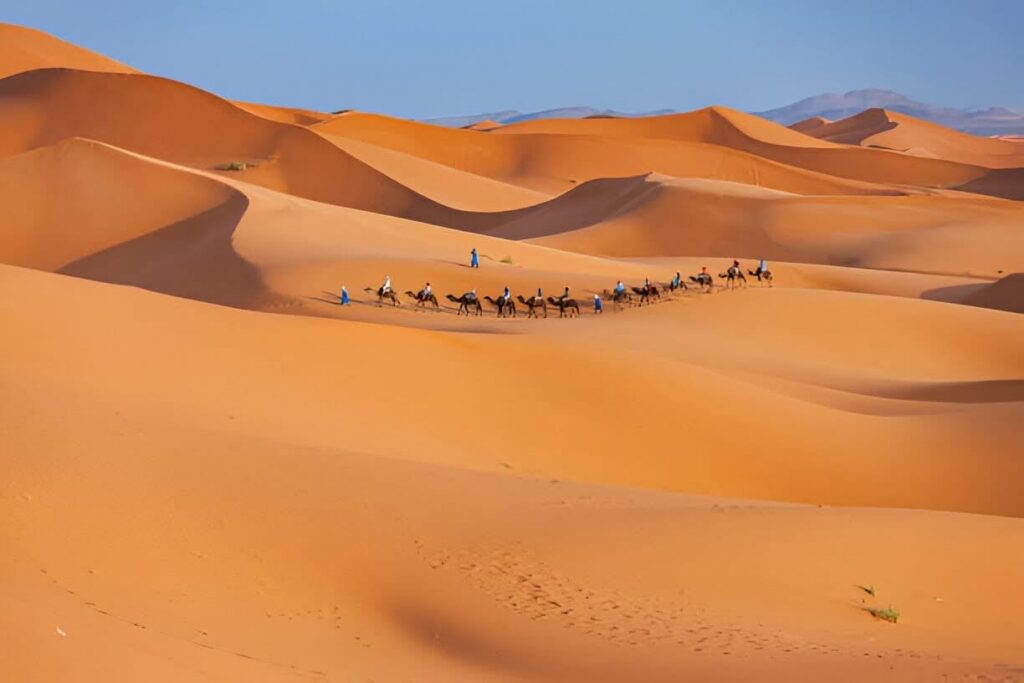 13-Day Absolute Morocco Tour from Tangier