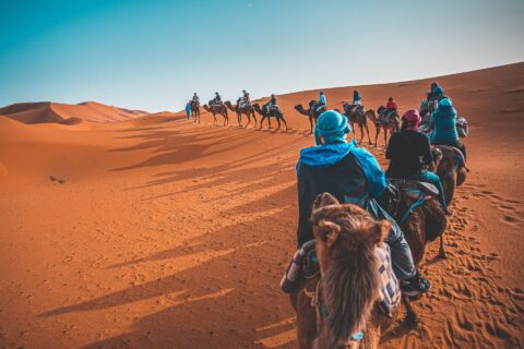 13-Day Around Morocco Tour from Casablanca