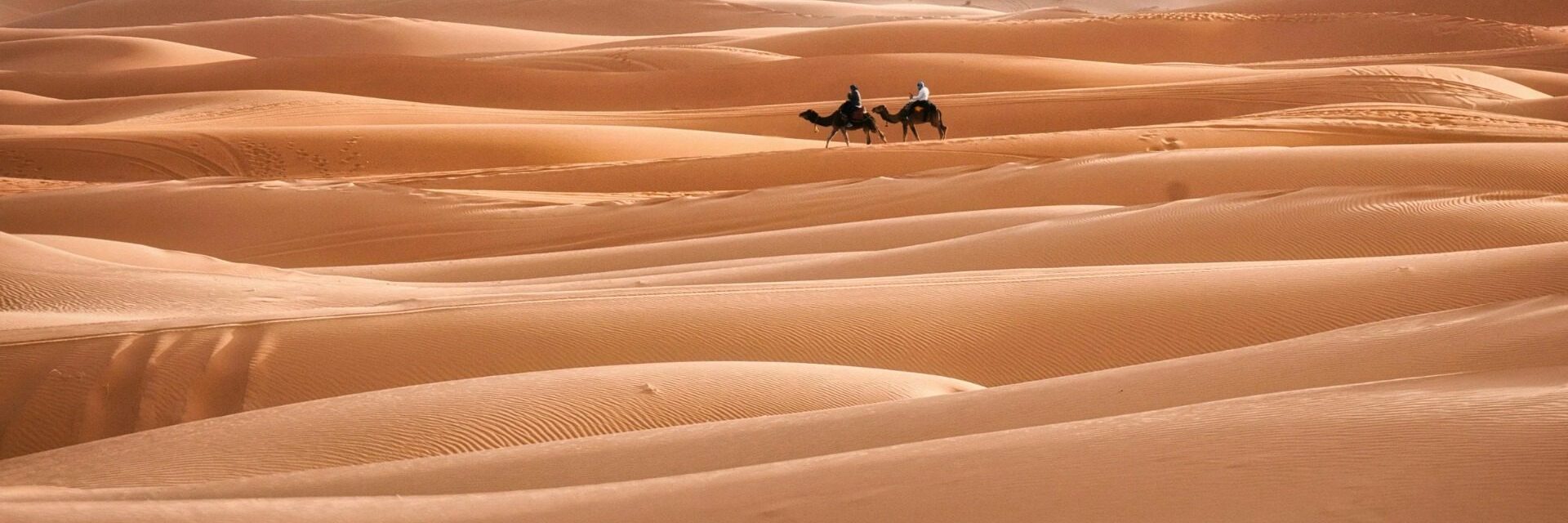 3-Day Marrakech to Fes via Desert Tour