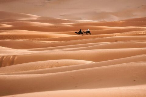 3-Day Marrakech to Fes via Desert Tour